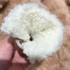 Su Geçirmez Polarlı Kışlık Köpek Ayakkabısı