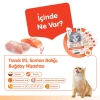 Wanpy Digestive Health Somonlu ve Tavuklu Sindirim Desteği Krema Kedi Ödül Maması 14 Gr (5li)