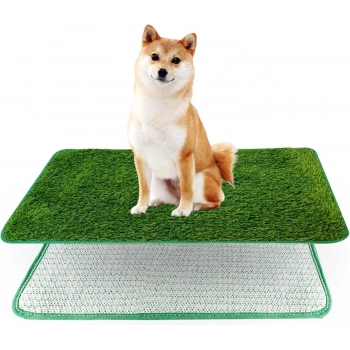 Tekrar Kullanılabilir Köpek Tuvalet Eğitim Halısı L 46x71 cm
