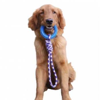 İnteraktif Çekme Halatlı Köpek Oyuncağı 43 cm