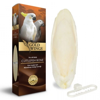 Gold Wings Premium Mürekkep Balığı Kemiği Büyük (Kalamar)
