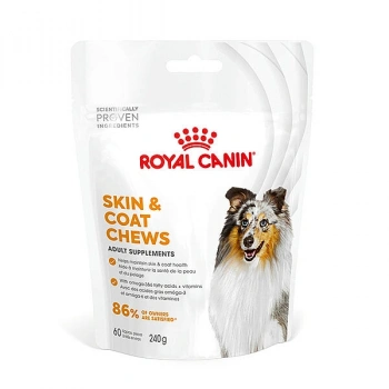 Royal Canin Deri ve Tüy Sağlığı Destekleyici Tamamlayıcı Yetişkin Köpek Ödül Maması 240 gr