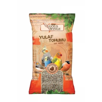 Gold Wings Yulaf Tohumu 300 Gr