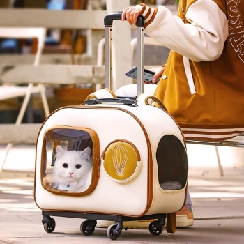 Kedi Küçük Irk Köpek Seyahat Sırt Çantası ve Tekerlekli Kullanımlı