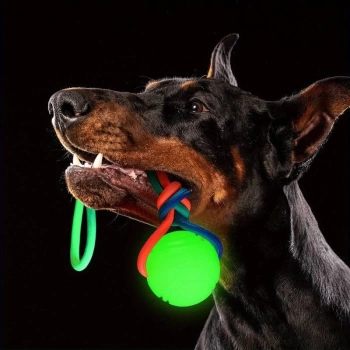 Parlayan Köpek Eğitim Diş İpi Oyuncağı 6 cm