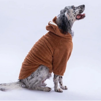 Pawstar Kahverengi Lucca Teddy Orta-Büyük Irk Köpek Pofuduk Hoodie Sweatshirt