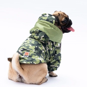 Pawstar Yeşil Dijon Polarlı Küçük Irk Köpek Yağmurluk