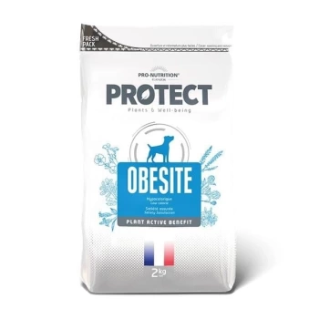 Pro Nutrition Protect Obesite Kilo Kontrolü için Yetişkin Köpek Maması 2 Kg