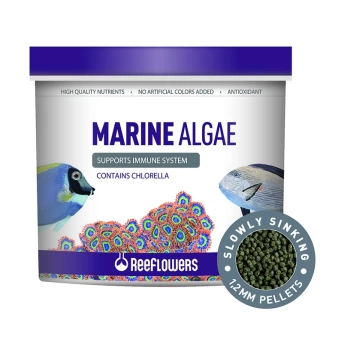 Reeflowers Marine Algae Pellet Tuzlu Su Balık Yemi 150 ml