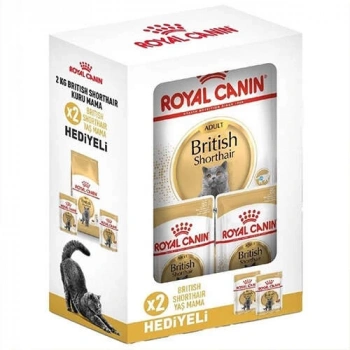 Royal Canin BOX British Shorthair Irk Kedi Maması 2 Kg + 2 Adet Royal Canin British 85 Gr Yaş Mama