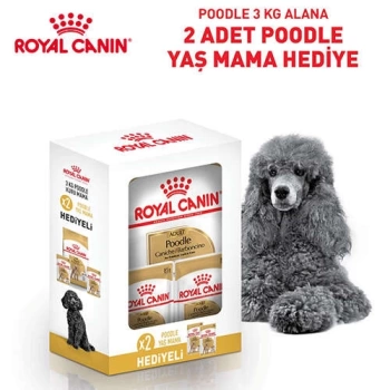 Royal Canin Poodle Köpek Irk Maması 3 Kg + 2 Adet Royal Canin Poodle 85 Gr Yaş Mama