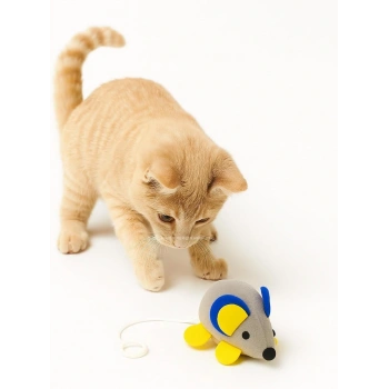 Titreşimli Çek Bırak İpli Fare Kedi Oyuncağı