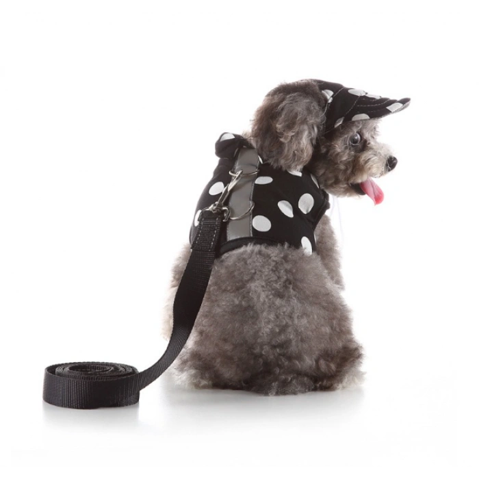 Köpek Yelek Gezdirme Elbisesi + Şapka Medium