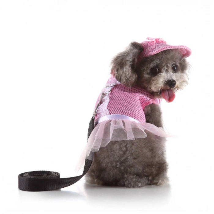 Köpek Yelek Gezdirme Elbisesi + Şapka Medium