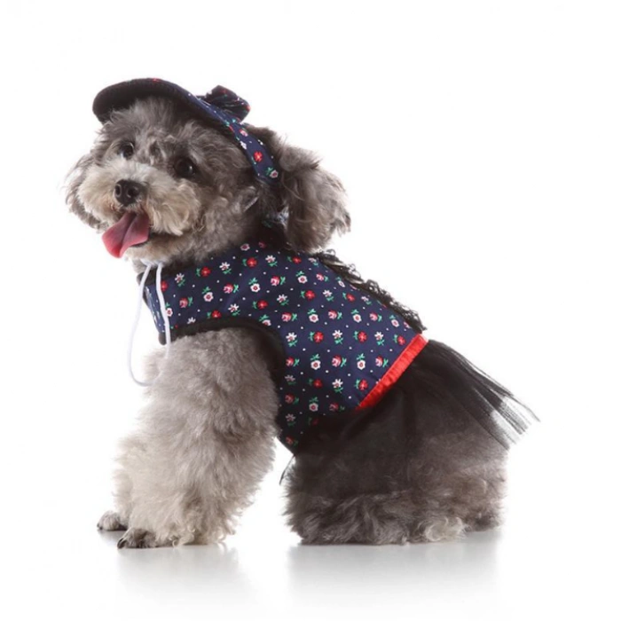 Köpek Yelek Gezdirme Elbisesi + Şapka Medium