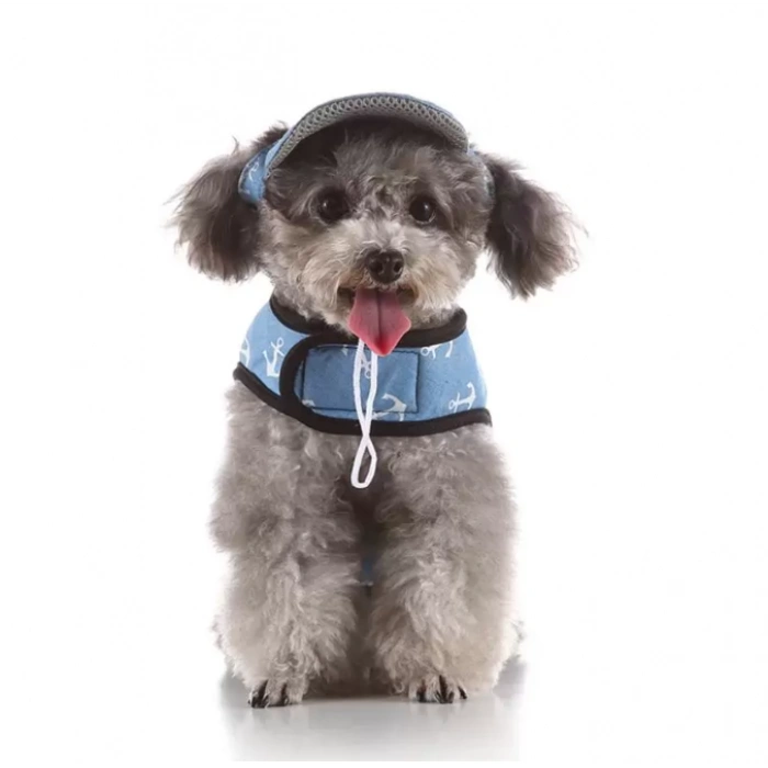 Köpek Yelek Gezdirme Elbisesi + Şapka Medium
