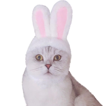 Tavşan Kulaklı Kedi Köpek Şapkası 30-34 cm