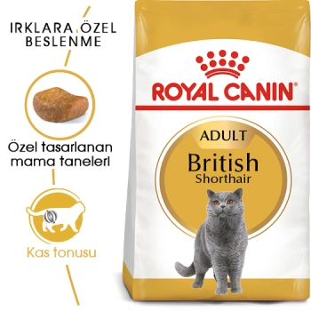 Royal Canin British Shorthair Yetişkin Kedi Maması 2 Kg