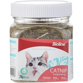 Bioline Catnip Kedi Otu 20 Gr.