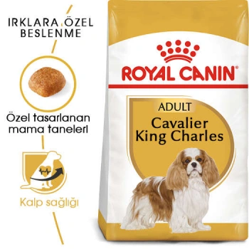 Royal Canin Cavalier King Charles Yetişkin Irk Köpek Maması 1.5 Kg
