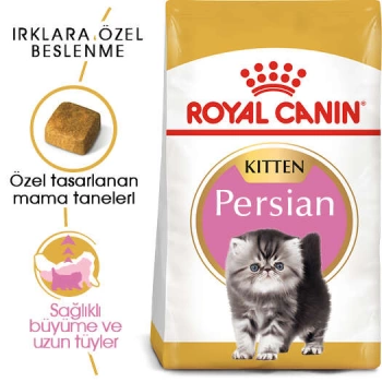 Royal Canin Kitten Persian İran Yavru Irk Kedi Maması 2 Kg