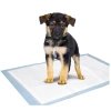 Köpek Tuvalet Çiş Eğitim Pedi Medium 45X60 cm 50 Adet