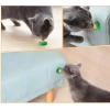 Catnipli Şeker Kedi Yalama Enerji Topu Balıklı