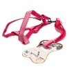 Renkli Köpek Göğüs Tasma Takımı 26-40 cm