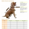 Renkli Köpek Göğüs Tasma Takımı 21-33 cm