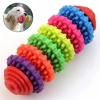 Köpek Diş Temizleme-Kaşıyıcı Dikenli 6 Renk Oyuncağı - 12.5 cm