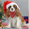 Kedi Köpek Noel Desenli Bandana Kırmızı Small 28x28x40 cm