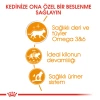 Royal Canin Jelly Intense Beauty Kedi Maması 85 Gr - 6 Al 5 Öde