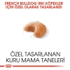 Royal Canin French Bulldog Adult Yetişkin Özel Irk Köpek Maması 3 Kg