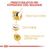 Royal Canin French Bulldog Adult Yetişkin Özel Irk Köpek Maması 3 Kg