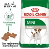 Royal Canin Mini Adult Yetişkin Küçük Irk Yetişkin Köpek Maması 4 Kg