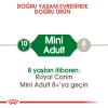 Royal Canin Mini Adult Yetişkin Küçük Irk Yetişkin Köpek Maması 4 Kg