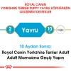 Royal Canin Yorkshire Terrier Junior Yavru Köpek Maması 1.5 Kg