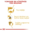 Royal Canin Yorkshire Terrier Adult Yetişkin Köpek Maması 1.5 Kg