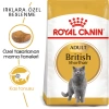 Royal Canin British Shorthair Yetişkin Kedi Maması 4 Kg