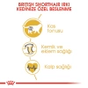 Royal Canin British Shorthair Yetişkin Kedi Maması 2 Kg