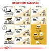 Royal Canin British Shorthair Yetişkin Kedi Maması 2 Kg