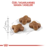 Royal Canin Kitten Yavru Kedi Maması 4 Kg + 85 Gr Yaş Mama