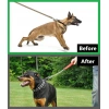 Köpek Kauçuklu Yürüyüş Boyun Zincir Eğitim Tasması 2.5 mm x 35 cm