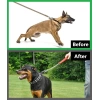 Köpek Kauçuklu Yürüyüş Boyun Zincir Eğitim Tasması 4 mm x 60 cm