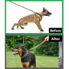 Köpek Yürüyüş Boyun Zincir Eğitim Tasması 2.5 mm x 35 cm