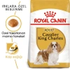 Royal Canin Cavalier King Charles Yetişkin Irk Köpek Maması 1.5 Kg