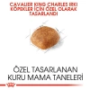 Royal Canin Cavalier King Charles Yetişkin Irk Köpek Maması 1.5 Kg