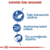 Royal Canin Indoor Ev Kedileri İçin Yetişkin Kedi Maması 2 Kg