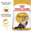 Royal Canin Adult Persian İran Yetişkin Irk Kedi Maması 4 Kg