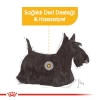 Royal Canin Mini Dermacomfort Küçük Irk Hassas Yetişkin Köpek Maması 3 Kg